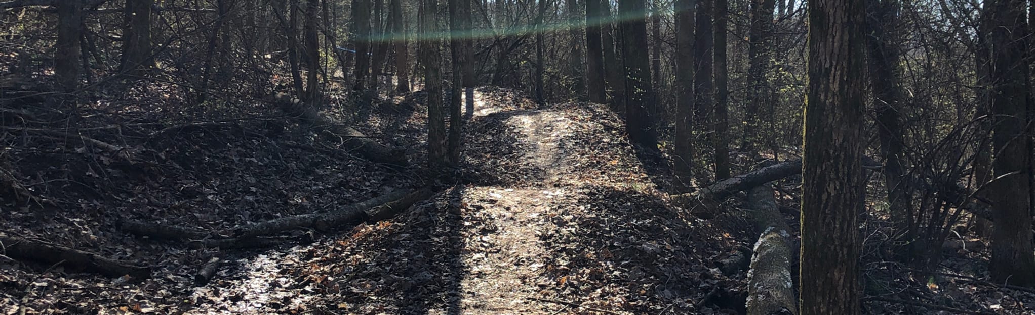 Cedar Hill Mountain Bike Loop 168 Reviews, Map Tennessee AllTrails