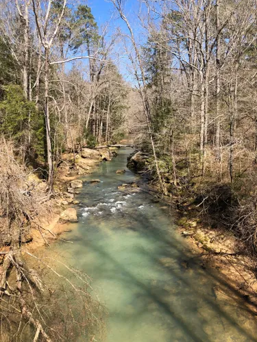 10 Best Hikes And Trails In William B Bankhead National Forest | AllTrails