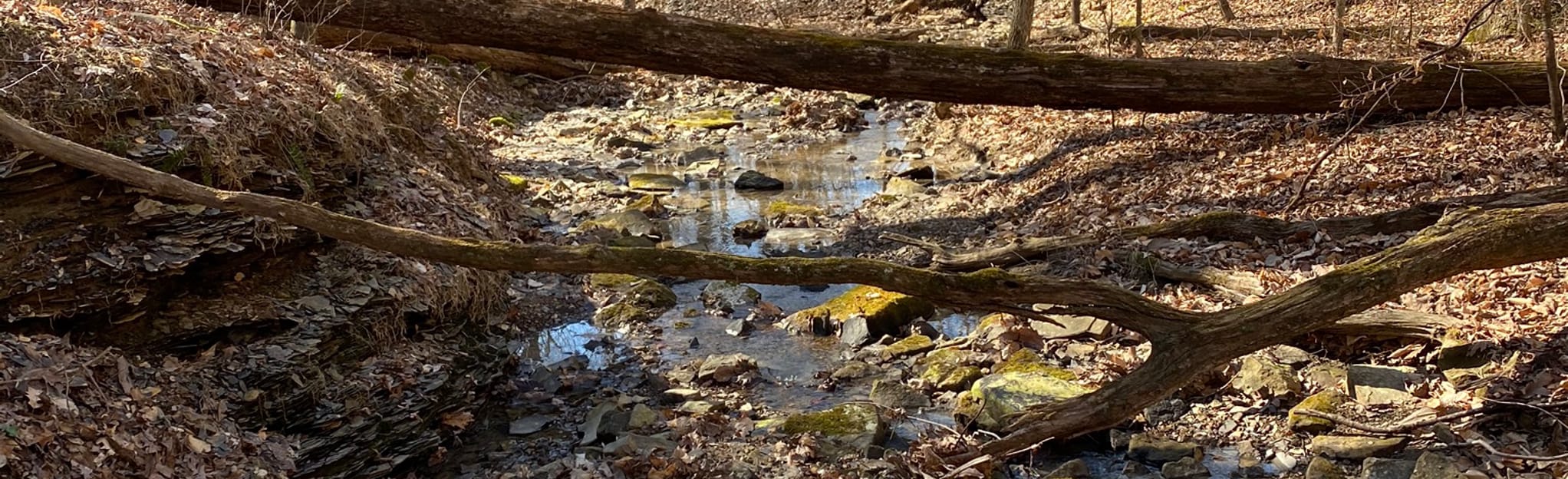 Camp Crooked Creek Loop [PRIVATE PROPERTY] 15 Reviews, Map Kentucky