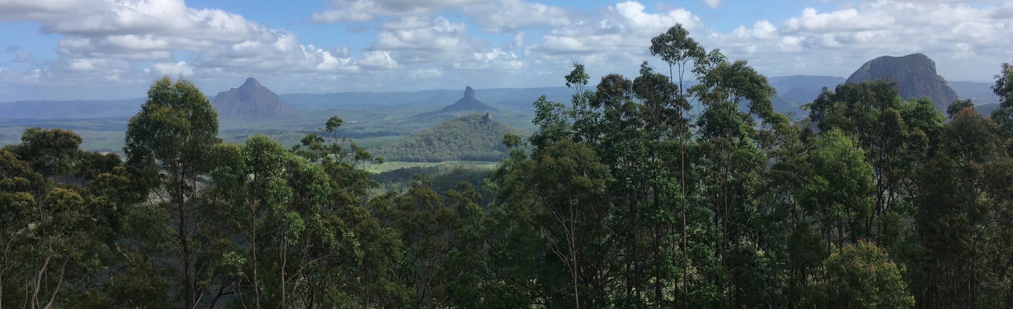 Mount Beerburrum Walking Track 561 foto's Queensland, Australië