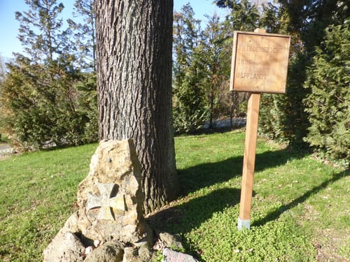 Märzenbecher-Rundweg: Goldschau - Cauerwitz