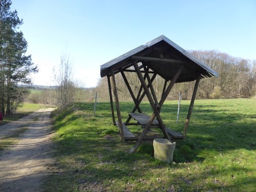 Märzenbecher-Rundweg: Goldschau - Cauerwitz