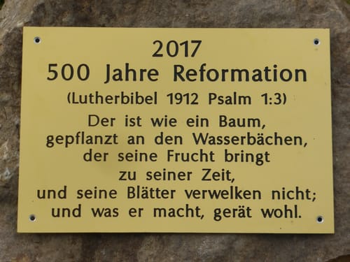 Märzenbecher-Rundweg: Goldschau - Cauerwitz