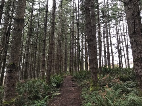 2023 Best 10 Trails and Hikes in Maple Valley | AllTrails