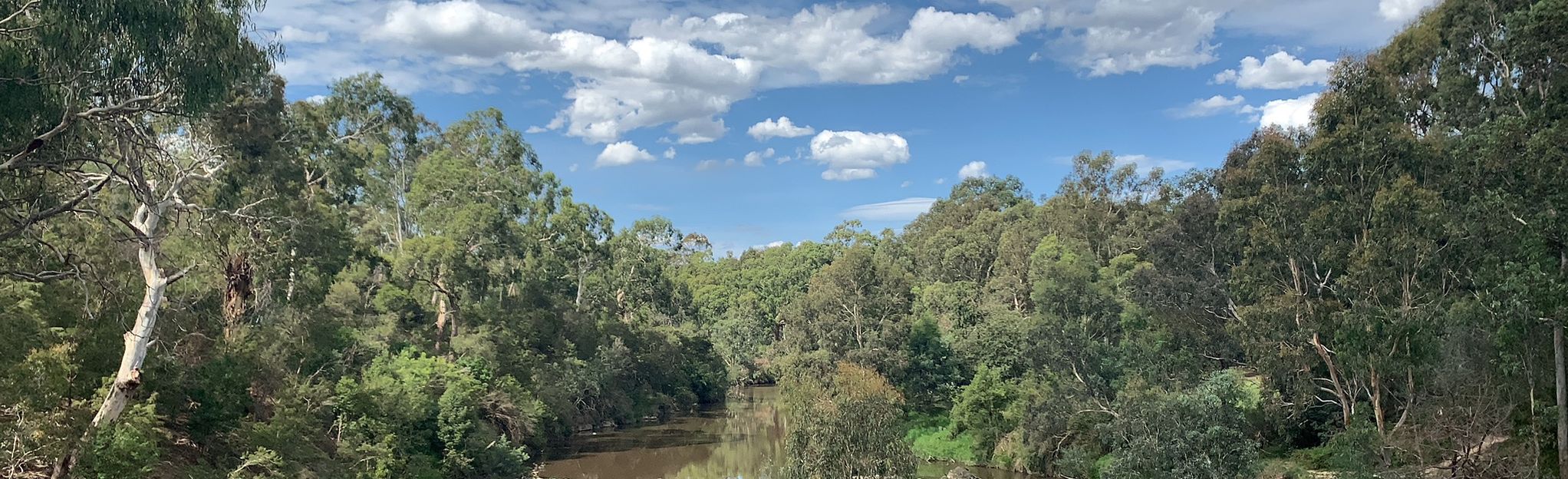 yarra main trail