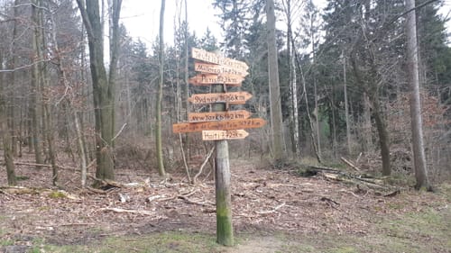 Nördliche Deisterspitze (BN3)