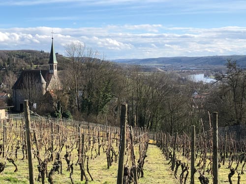 Weinberge bei Randersacker