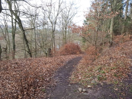 Ringelsberg-Route