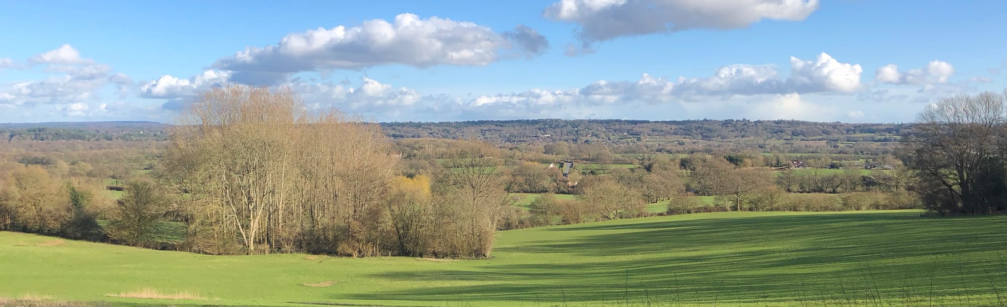 East Liss, Hawkley and Edward Thomas Monument Circular 541 Fotos