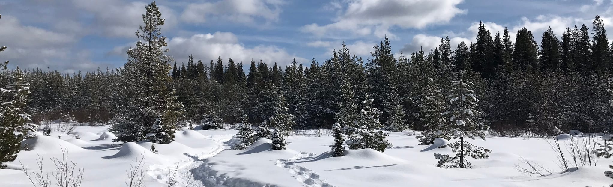 Snow Beauty and Snowy Cabin Snowshoe Loop British Columbia, Canada