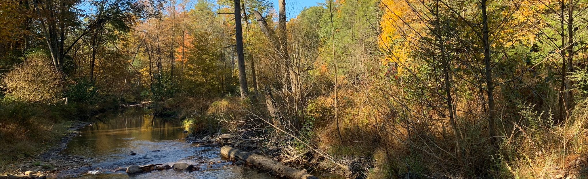 Midland and Waterline Trail Loop 109 Reviews, Map Pennsylvania