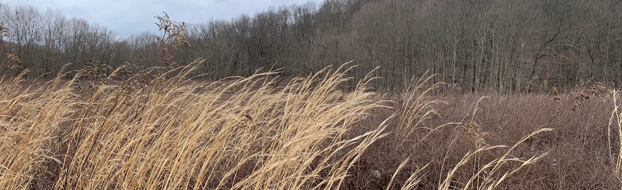 Glenford Fort Preserve, Ohio 15 Reviews, Map AllTrails