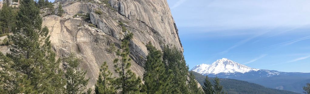 are dogs allowed at castle crags