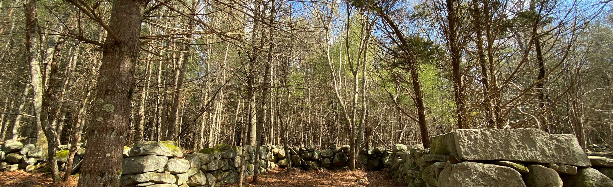 Copicut Woods 171 Reviews, Map Massachusetts AllTrails