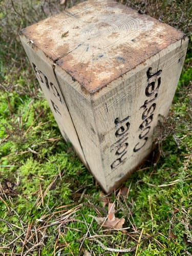 Suderburg Waldtour