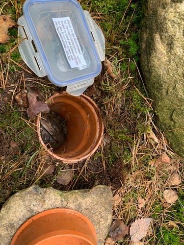 Suderburg Waldtour