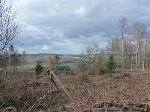 Kurpark-Runde