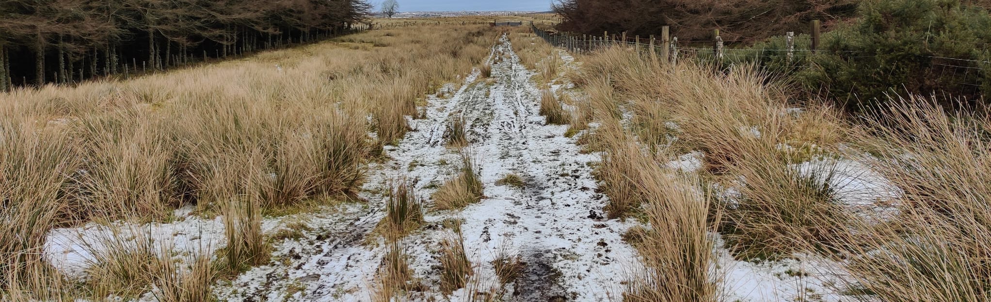 Fishwives Path Buckie to Keith, Moray, Scotland Map, Guide AllTrails