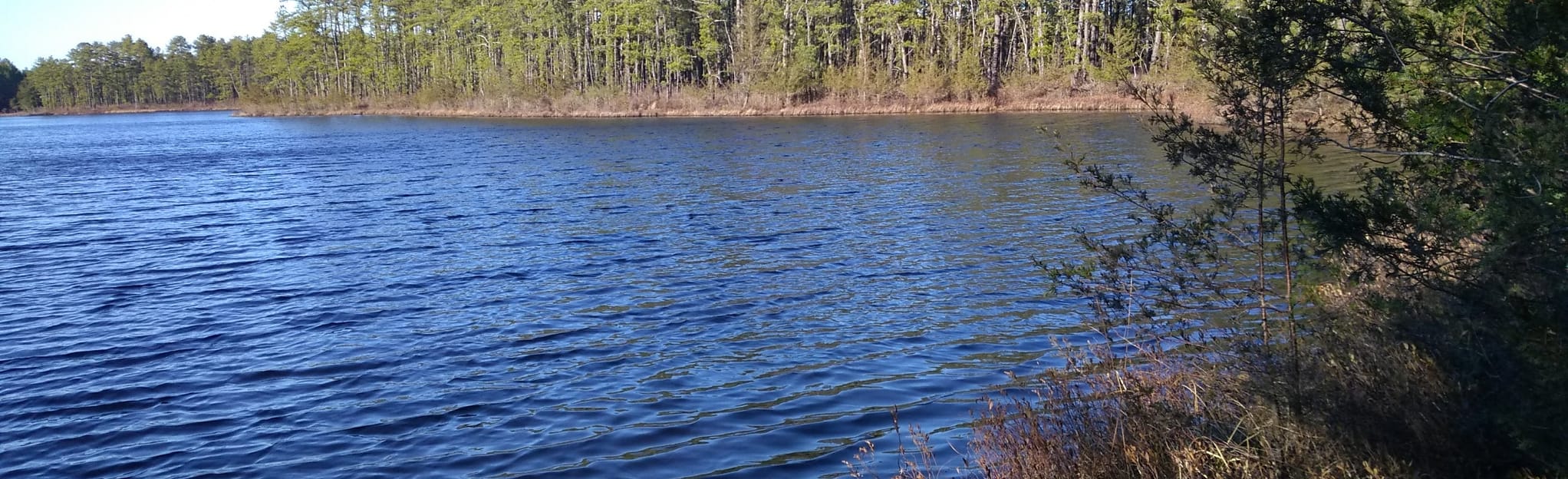 Jersey Central Lines Springer Brook to Deep Run 43 Reviews, Map New