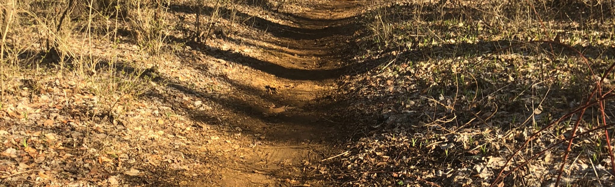 Iron Hill Park Todd Forrest Loop Trail, Delaware 84 Reviews, Map