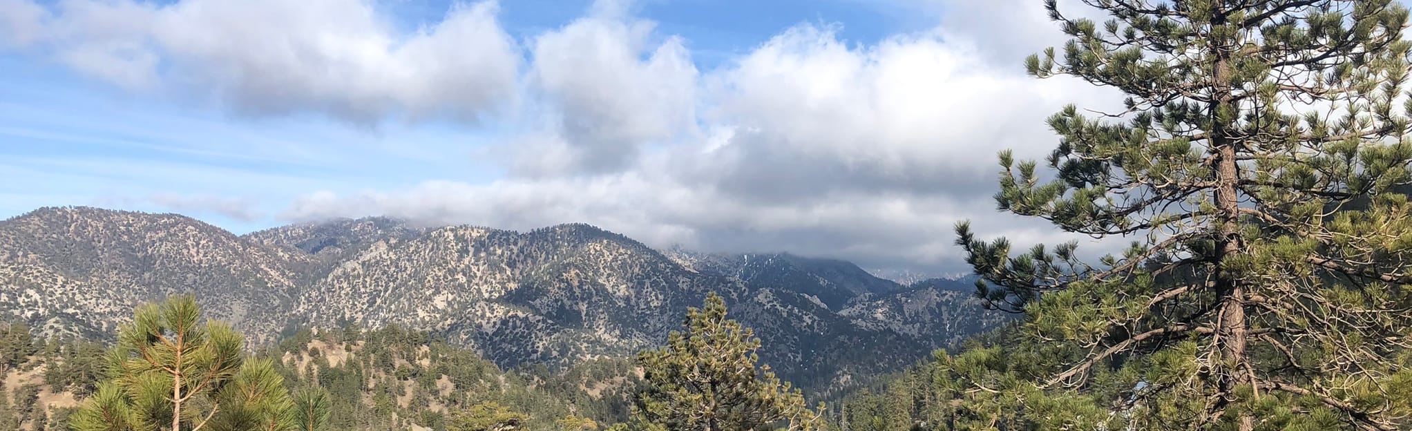 Winston Peak 370 foto California AllTrails