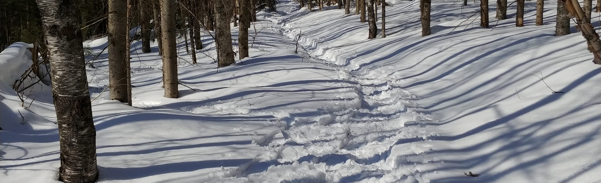 Sentier Hiver du secteur Lac StJoseph 3 Reviews, Map Quebec, Canada