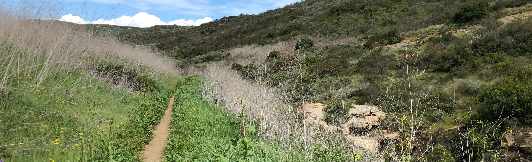 Pacific Ridge, Bommer Ridge, and Deer Canyon Trail Loop, California ...