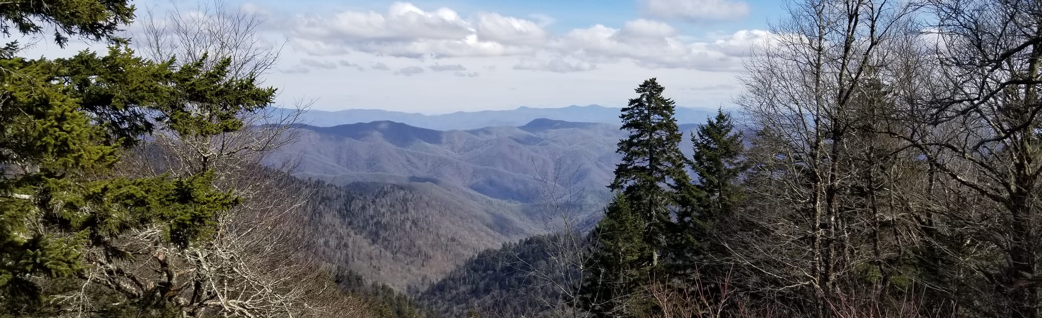 Elkmont to Mt Collins Loop, Tennessee 31 Reviews, Map AllTrails