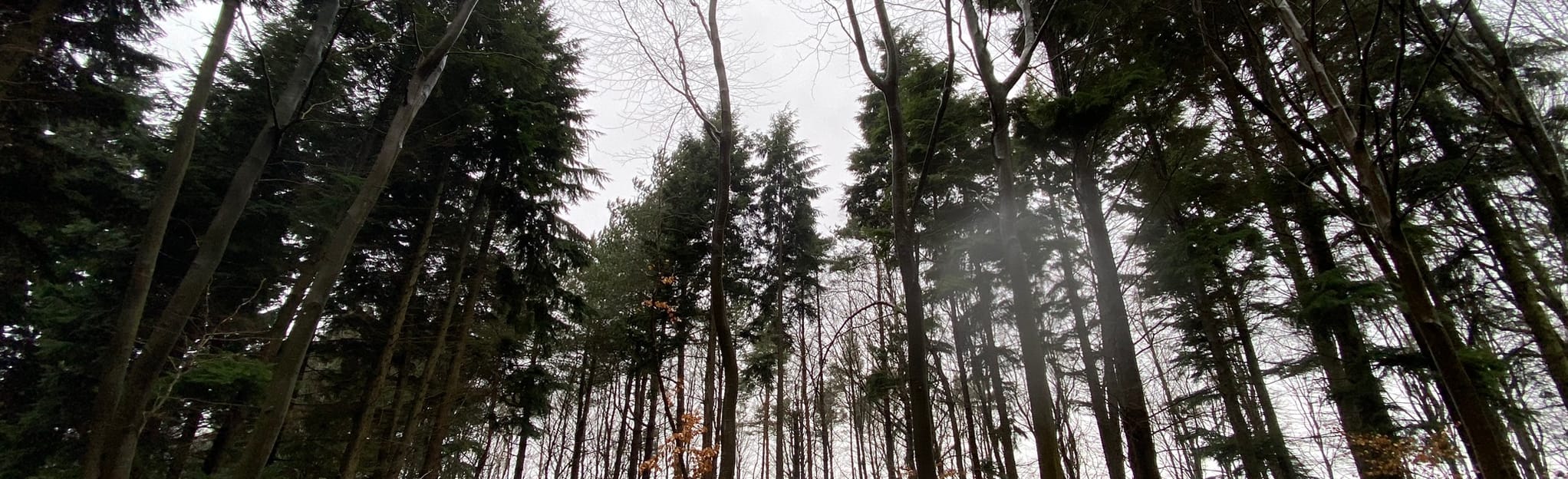 Westerham and Limpsfield Chart Circular, Kent, England 39 Reviews, Map AllTrails