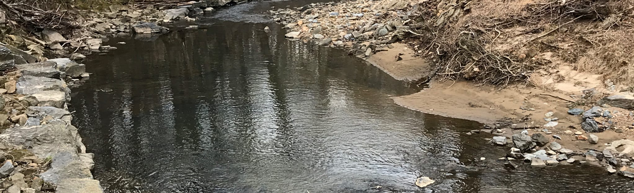 Cabin John Trail OutandBack from River Road, Maryland 251 Reviews