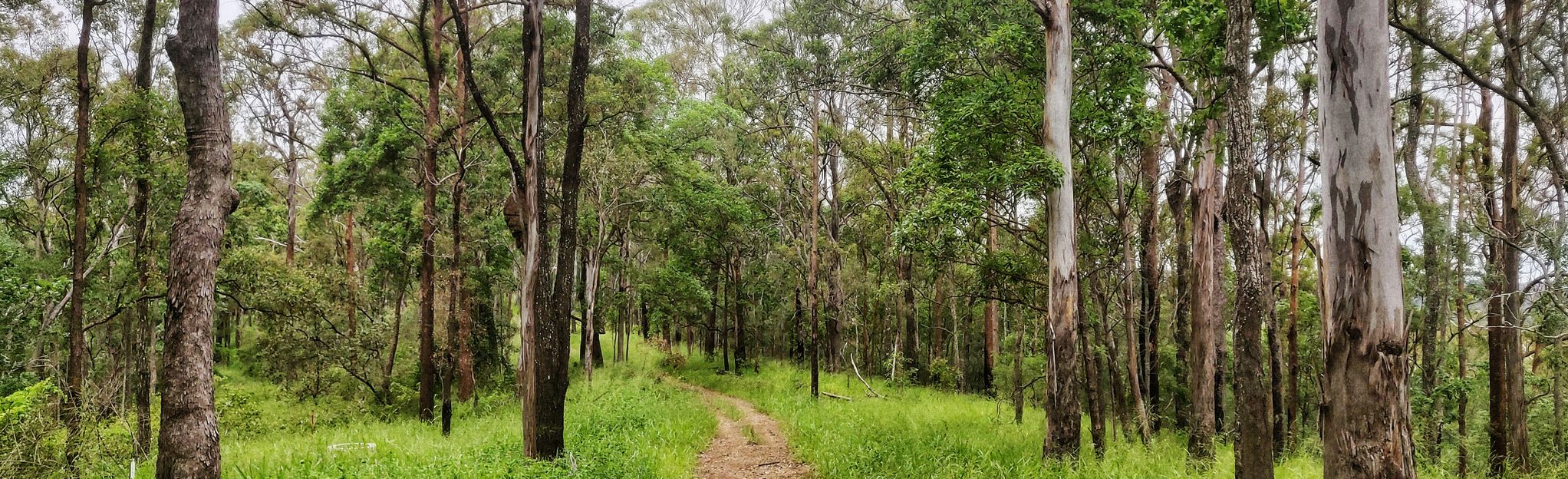 ironbark gully mountain bike trails