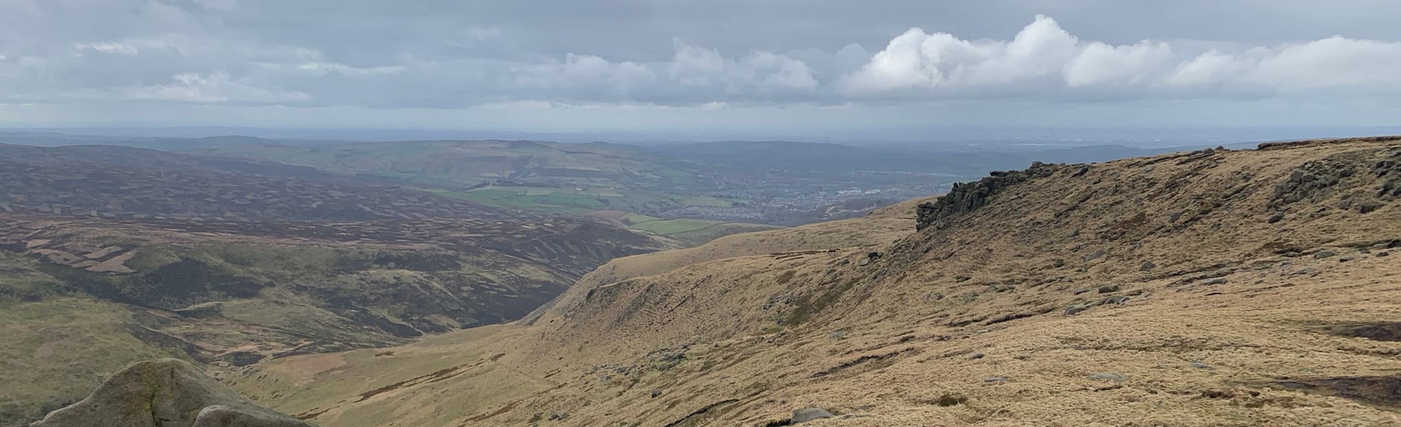 Snake Woods Over Wood Moss Bleaklow Higher Shelf, Derbyshire