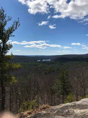 Escape to the Green Heart of Massachusetts: Exploring Leominster State Forest