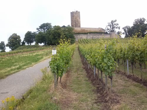 Rund um Ittlingen