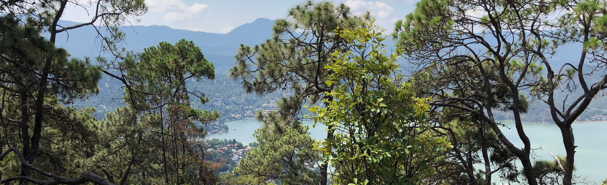 Recorrido Monte Alto Desde el Este Mappa, Guida México, Mexico