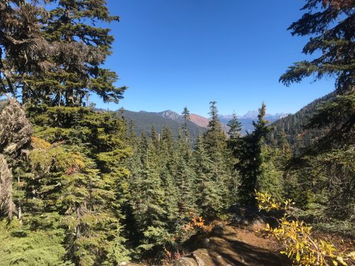 are dogs allowed at snoqualmie pass