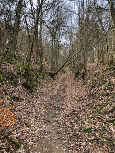Monrealer Ritterschlag (Traumpfad)