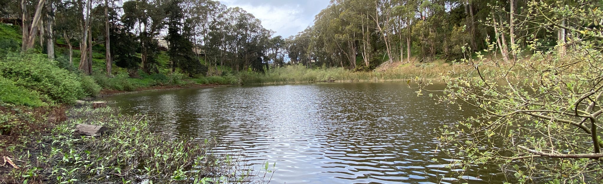 Pine Lake Loop 131 Reviews, Map California AllTrails