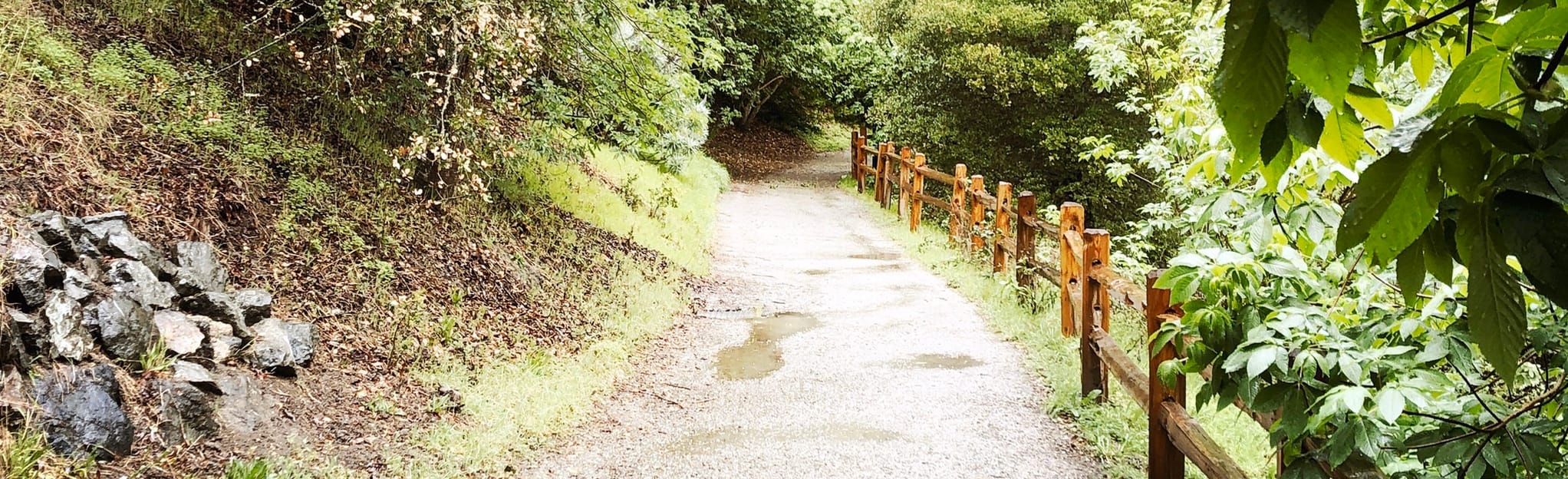 Alvarado Park Loop, California 107 Reviews, Map AllTrails
