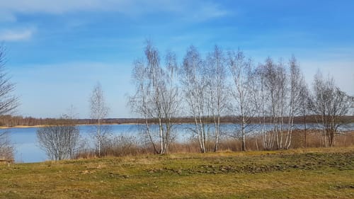 Um den Harthsee
