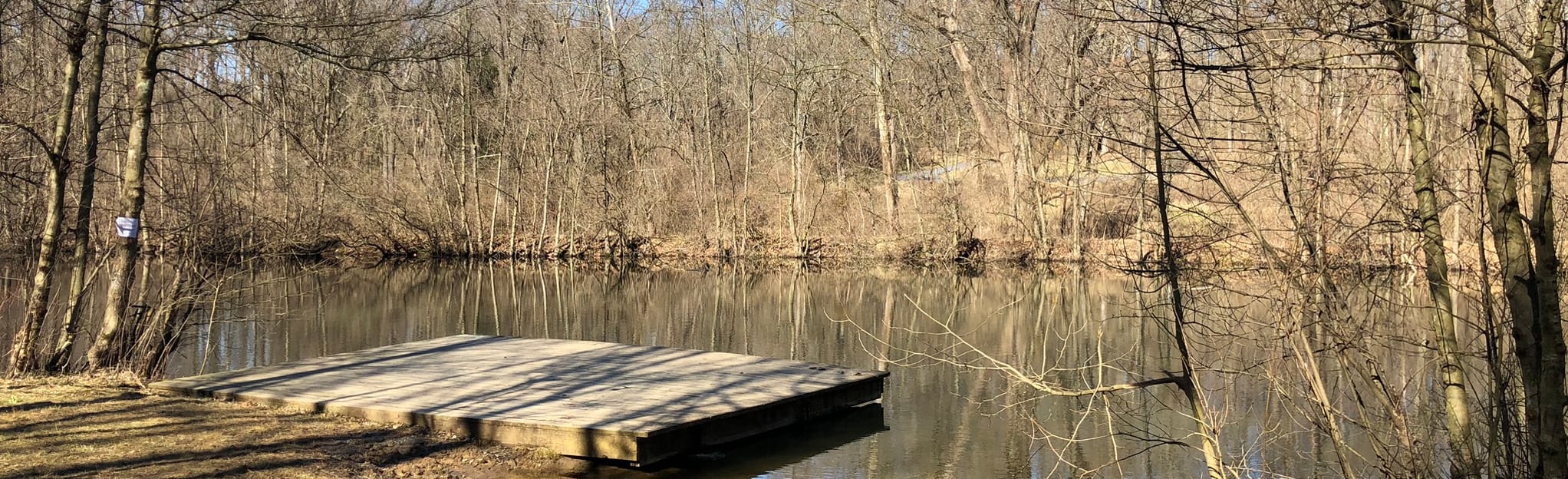 Nolde Forest Pond Loop Pennsylvania - EyJidWNrZXQiOiJhc3NldHMuYWxsdHJhaWxzLmNvbSIsImtleSI6InVwbG9hZHMvcGhvdG8vaW1hZ2UvMjU2OTQ5NDUvZGYwYTM1MzIzYWI3NjZiZTc5MjY1ZTEzZTVhYmM3OWEuanBnIiwiZWRpdHMiOnsidG9Gb3JtYXQiOiJqcGVnIiwicmVzaXplIjp7IndpZHRoIjoyMDQ0LCJoZWlnaHQiOjYyNCwiZml0IjoiY292ZXIifSwicm90YXRlIjpudWxsLCJqcGVnIjp7InRyZWxsaXNRdWFudGlzYXRpb24iOnRydWUsIm92ZXJzaG9vdERlcmluZ2luZyI6dHJ1ZSwib3B0aW1pc2VTY2FucyI6dHJ1ZSwicXVhbnRpc2F0aW9uVGFibGUiOjN9fX0=