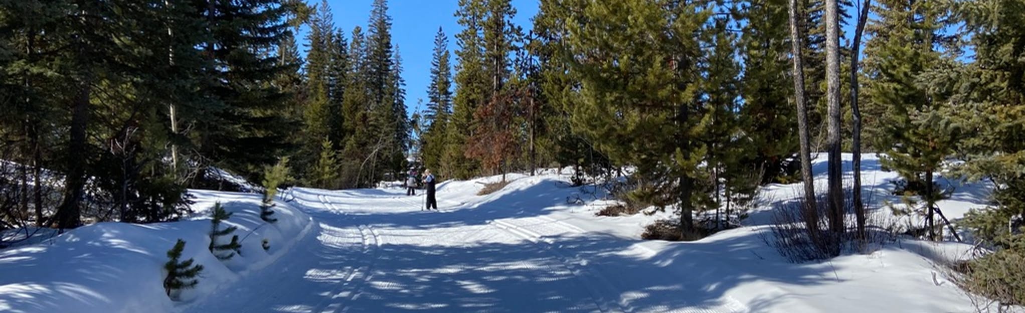 Lac Le Jeune Circle, British Columbia, Canada 78 Reviews, Map AllTrails