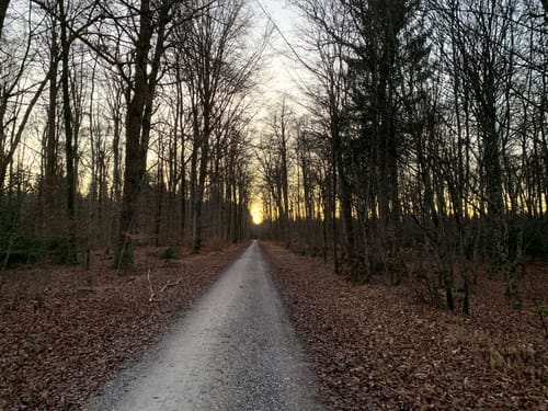 Perlacher Forst bei Taufkirchen
