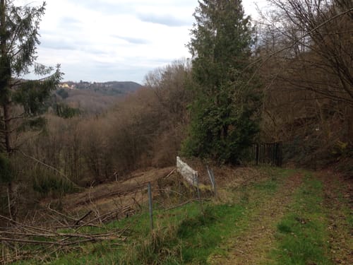 Zum Waldhaus Drei Buchen