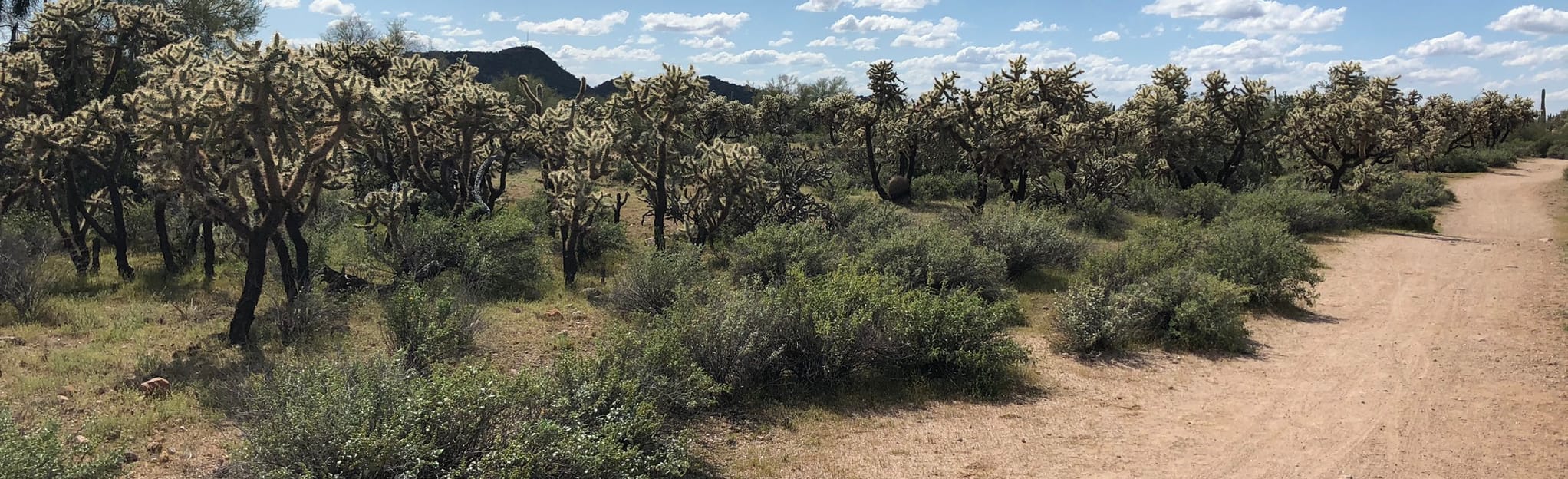 Blevins Trail, Arizona 1,863 Reviews, Map AllTrails