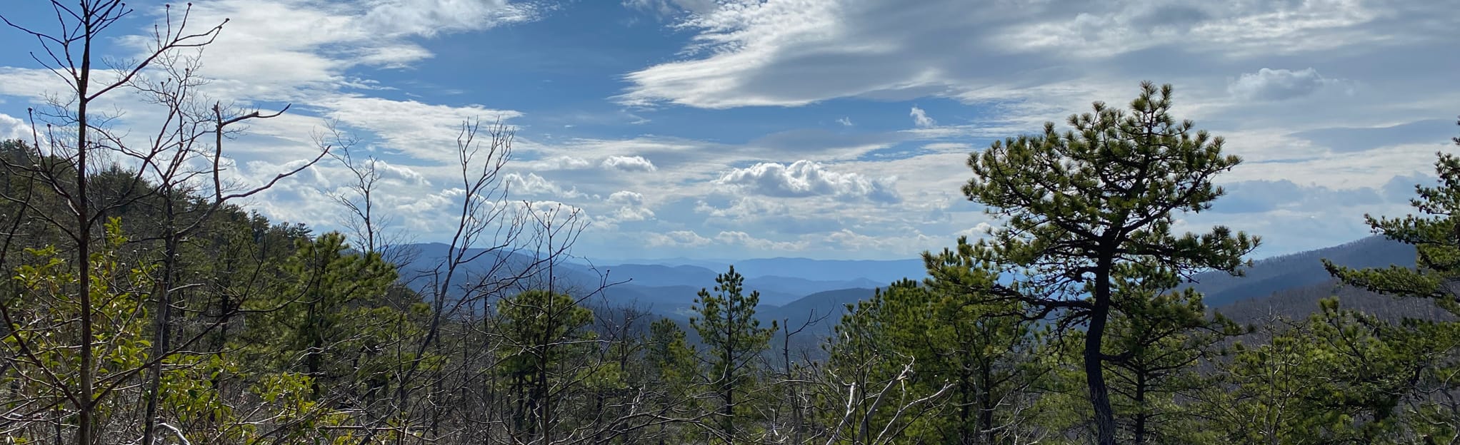 Sawmill Run Ridge via Appalachian Trail 160 foto's Virginia AllTrails