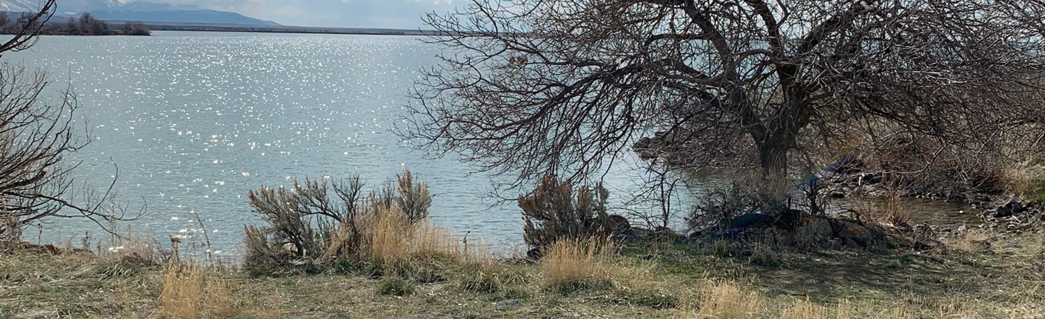 Lake Walcott, Idaho 2 Reviews, Map AllTrails