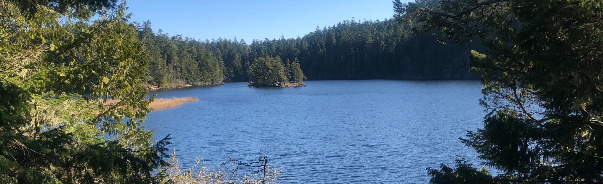 Cedar Grove, Galloping Goose, and Matheson Lake Loop, British Columbia