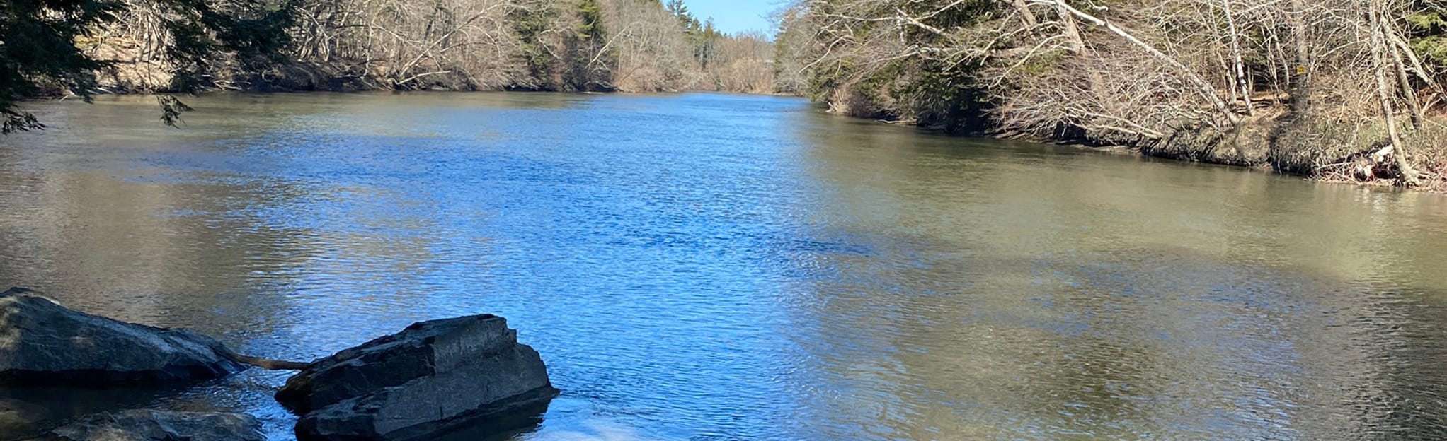 Presumpscot Falls from Oak Nuts Park 327 Reviews, Map Maine AllTrails