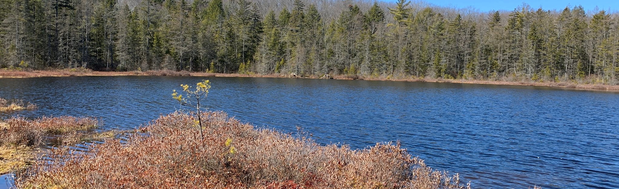 Mud Lake 172 Reviews, Map New York AllTrails